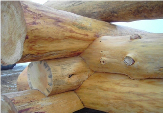 Handcrafted, Full-Scribe