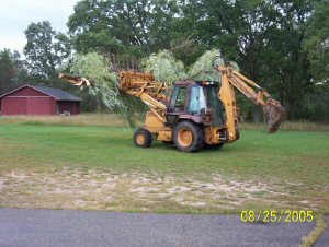 Tree Removal